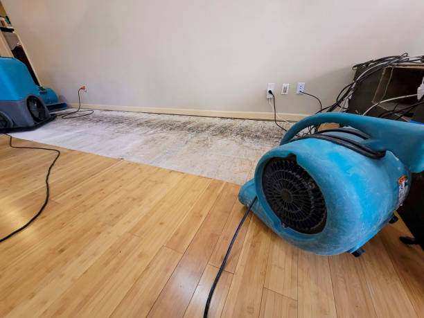 Professional Sewage Cleanup technician working in Rarden, OH